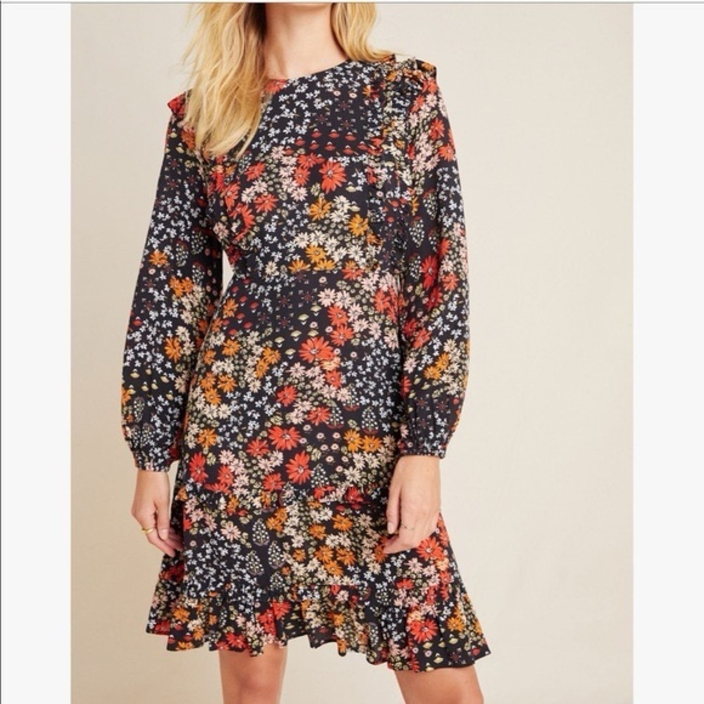 Anthropologie Kachel Adrienne Floral Ruffle Dress Size 2